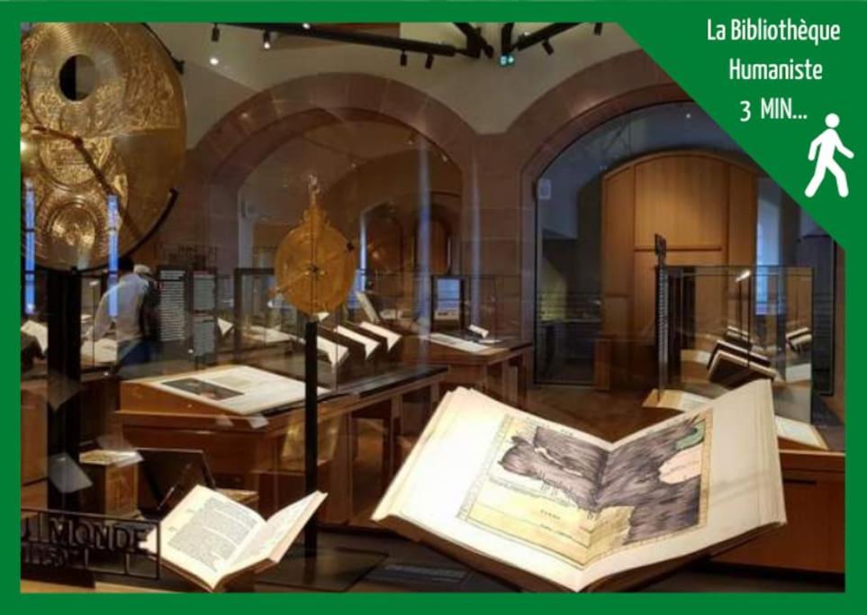 Le Bottier Alsacien Διαμέρισμα Sélestat Εξωτερικό φωτογραφία